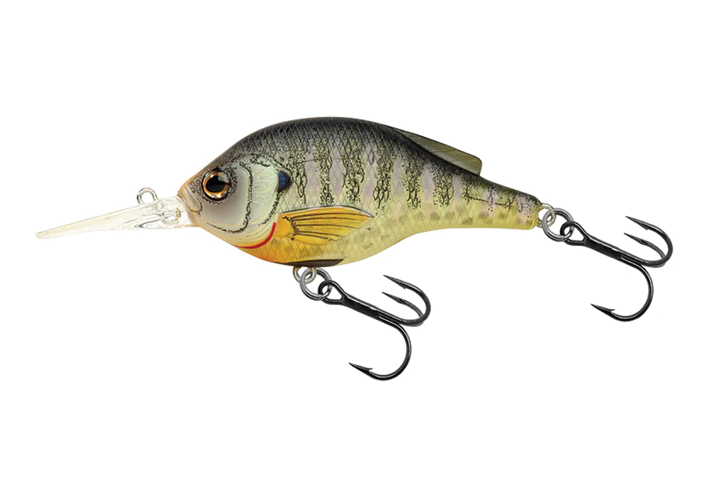 LIVETARGET Sunfish Crankbait Medium Dive