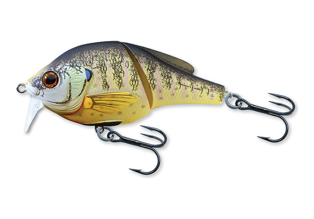 LIVETARGET Sunfish Wakebait