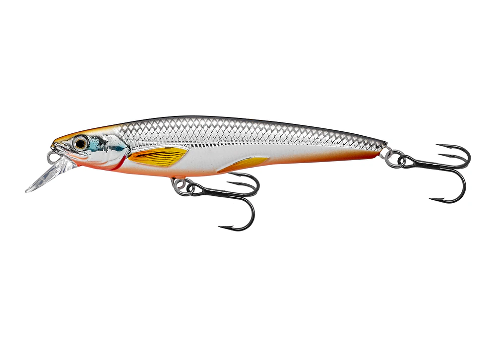 LIVETARGET Rainbow Smelt Jerkbait Shallow Dive