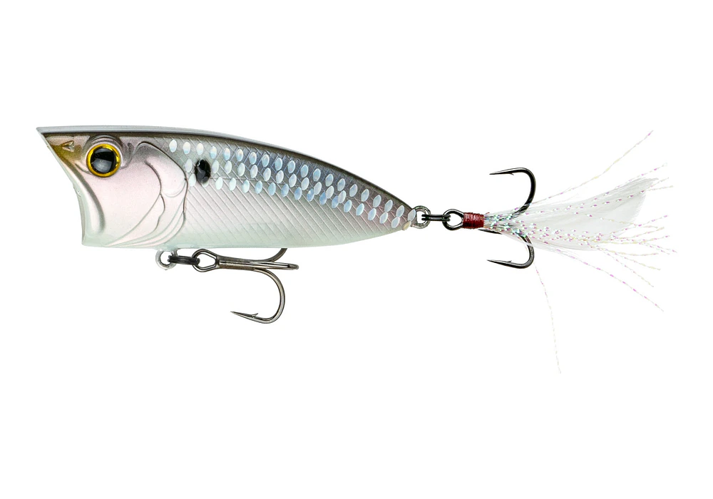 6th Sense SplashBack Popper