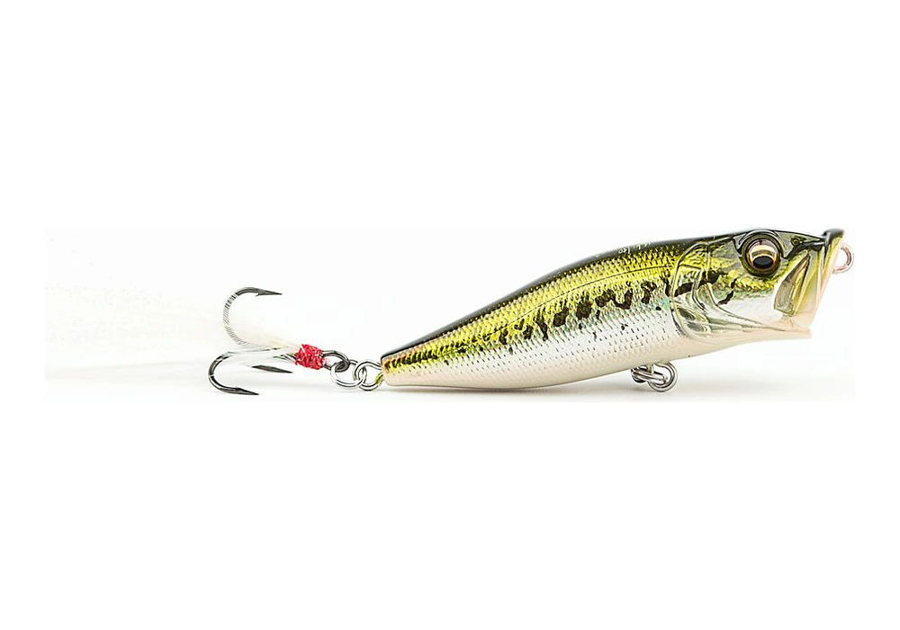 Megabass Pop-X