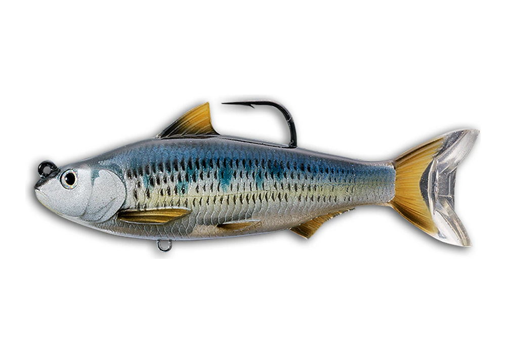 LIVETARGET Common Shiner Swimbait