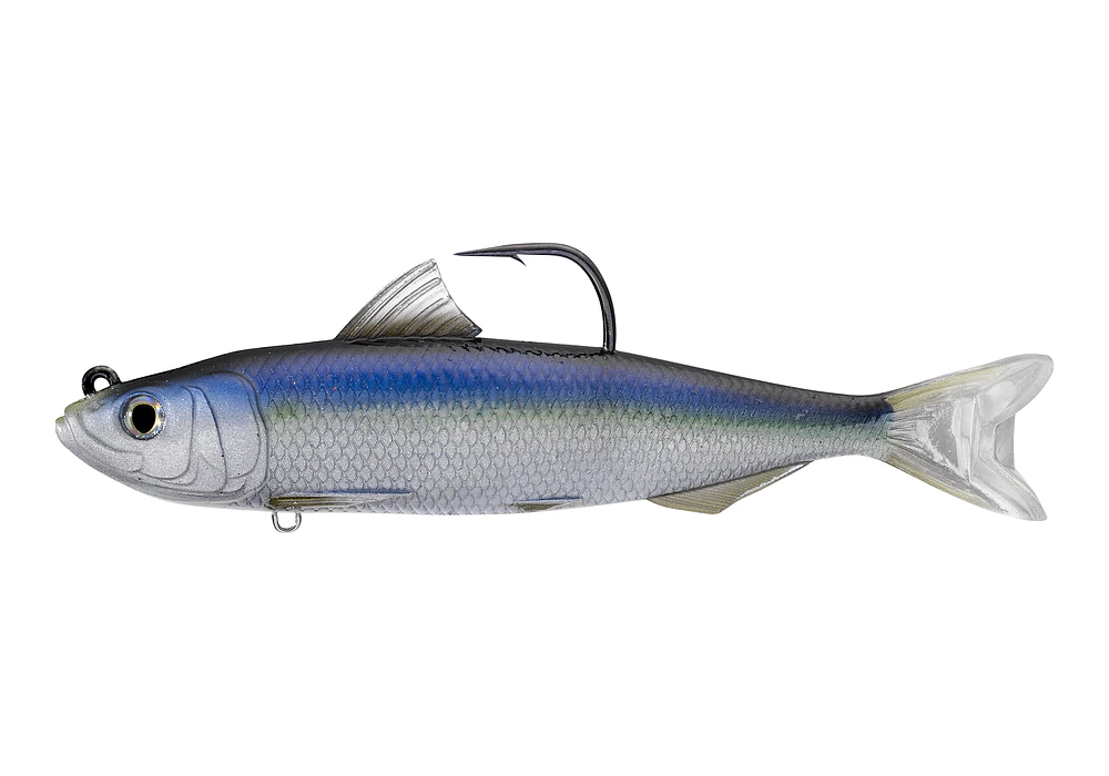 LIVETARGET Spanish Sardine Swimbait